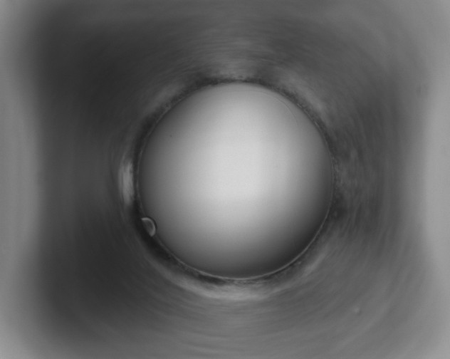 X0000102530020200808151605