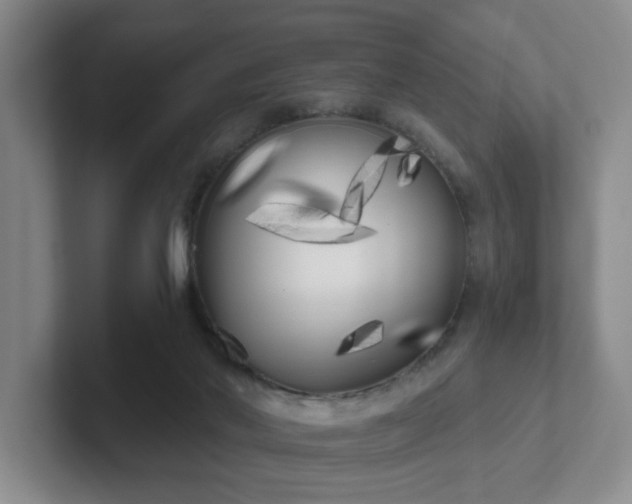 X0000102530022200808151605