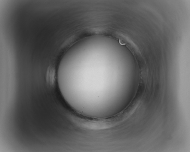 X0000102530024200808151605