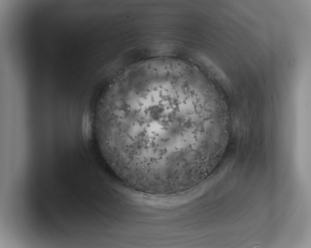 X0000102530026200808151605