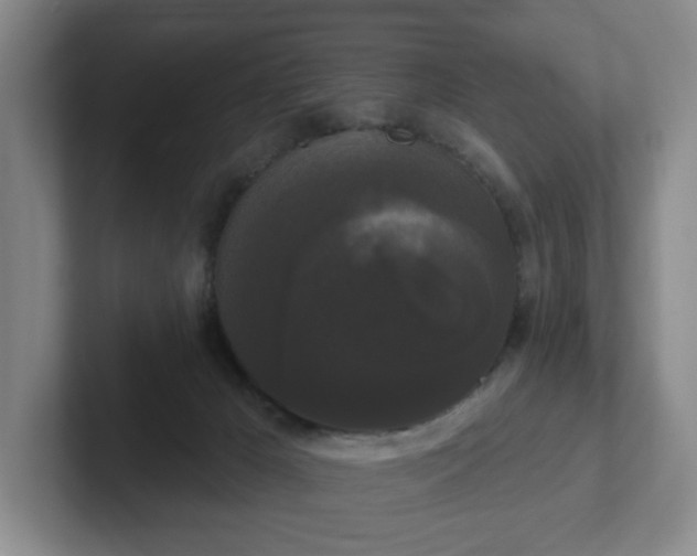 X0000102530029200808151605