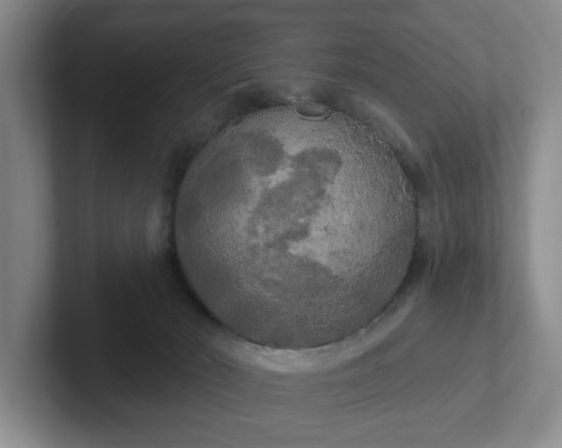 X0000102530030200808151605