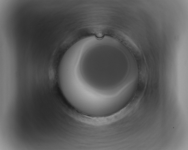 X0000102530031200808151605