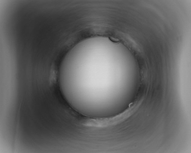 X0000102530033200808151605