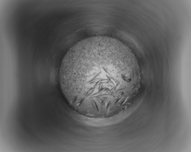 X0000102530034200808151605