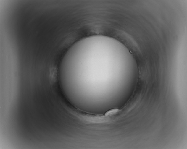 X0000102530036200808151605