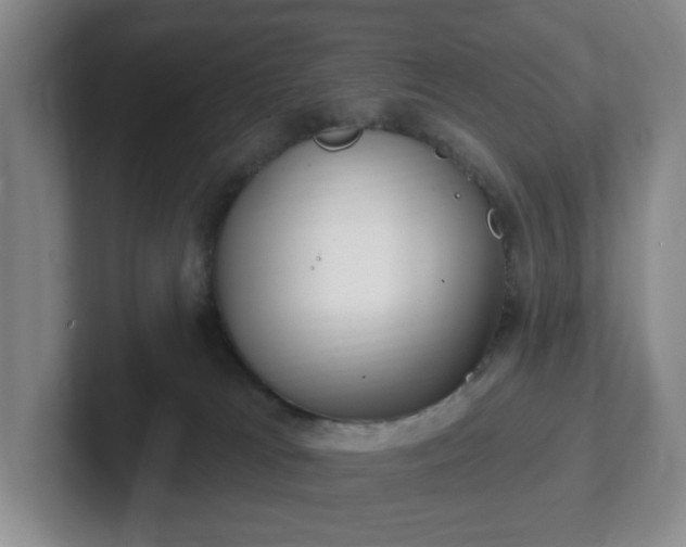 X0000102530037200808151605