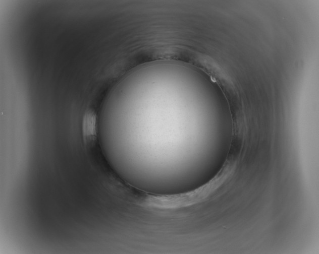 X0000102530041200808151605