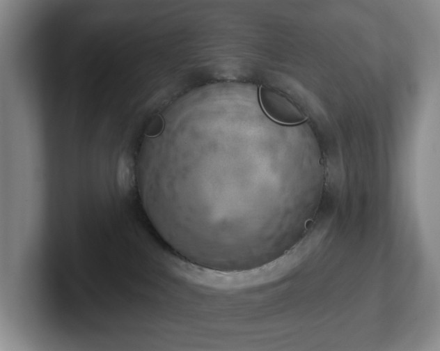 X0000102530043200808151605