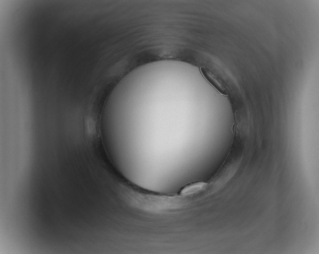 X0000102530044200808151605