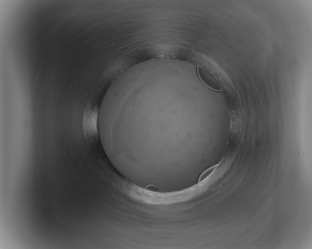 X0000102530047200808151605