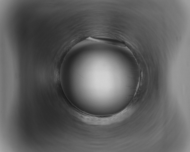 X0000102530048200808151605