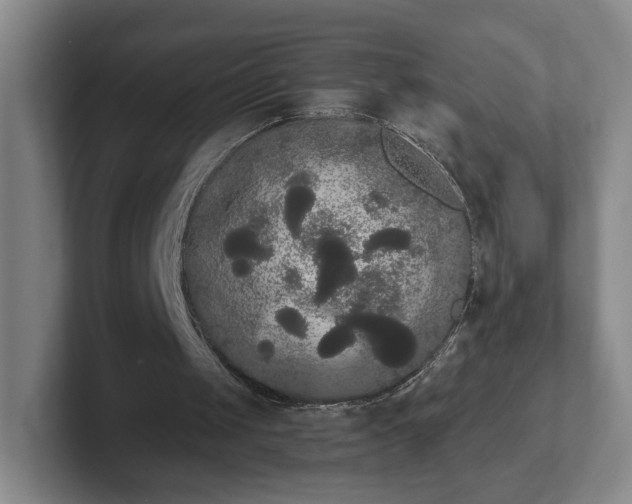 X0000102530049200808151604