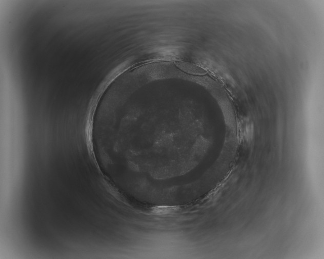 X0000102530051200808151604