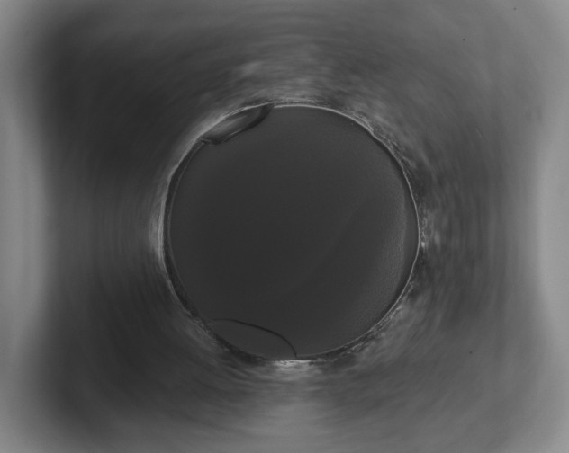 X0000102530052200808151604