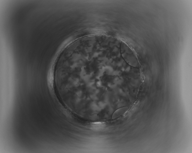 X0000102530053200808151604