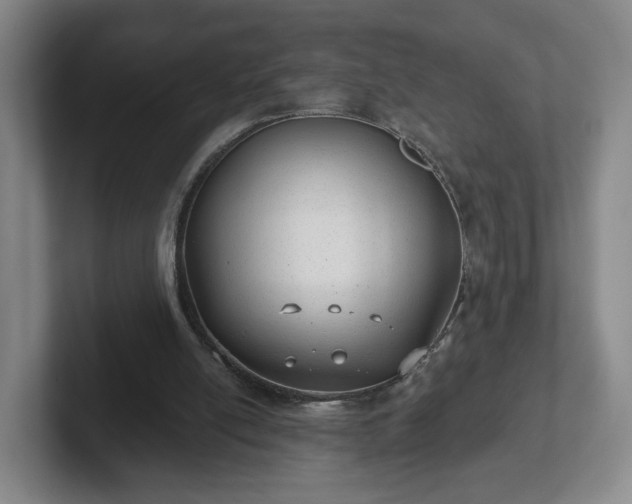 X0000102530054200808151604