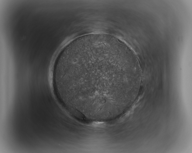 X0000102530055200808151604