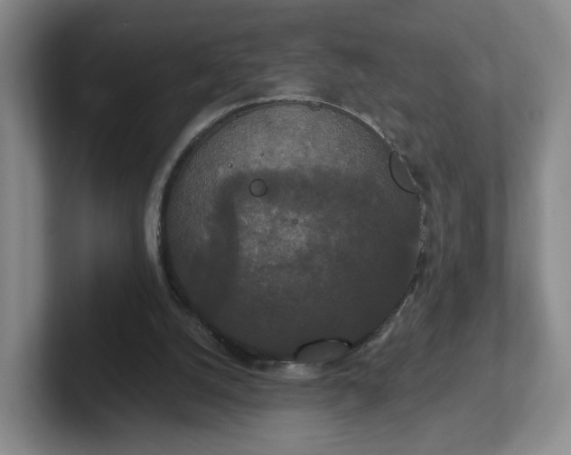 X0000102530056200808151604