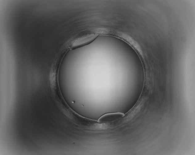 X0000102530057200808151604