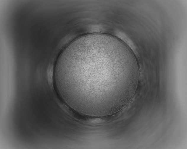 X0000102530058200808151604