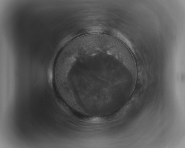 X0000102530059200808151604