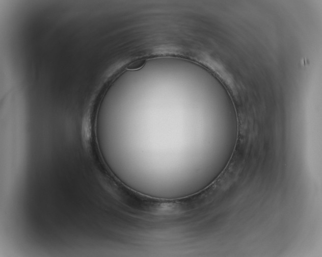 X0000102530060200808151604