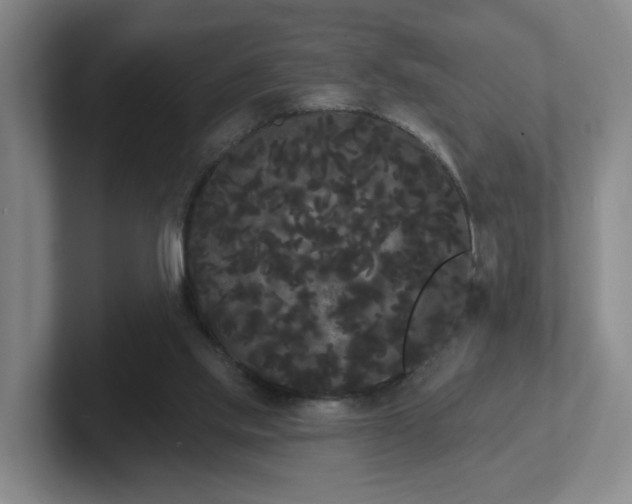 X0000102530061200808151604