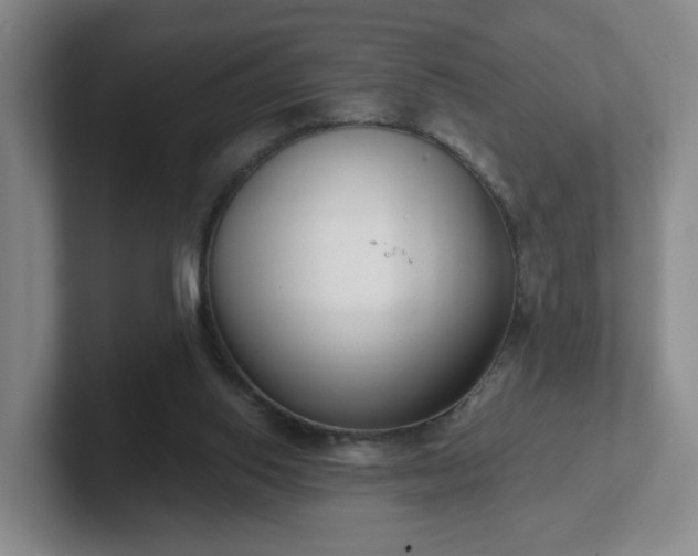 X0000102530062200808151604