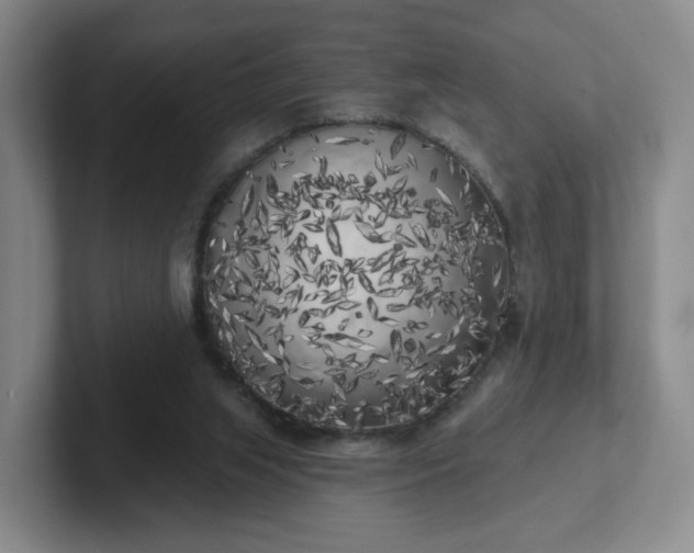 X0000102530063200808151604
