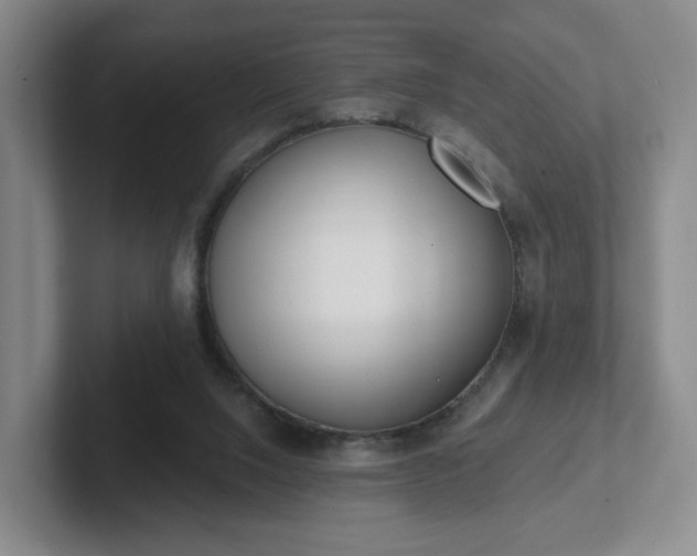 X0000102530064200808151605