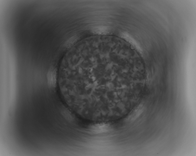 X0000102530065200808151605