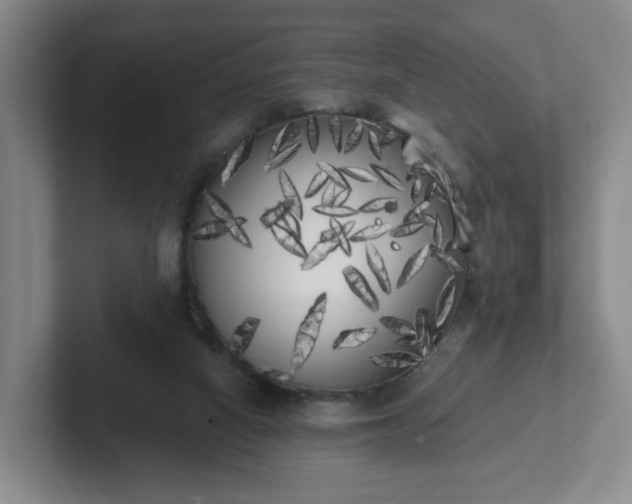 X0000102530066200808151605