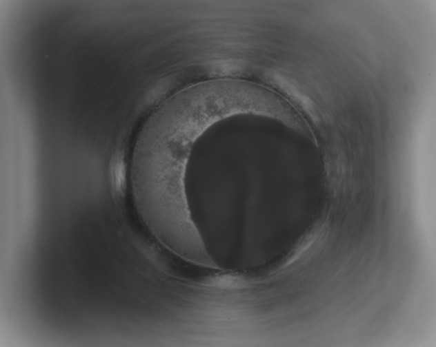 X0000102530067200808151605