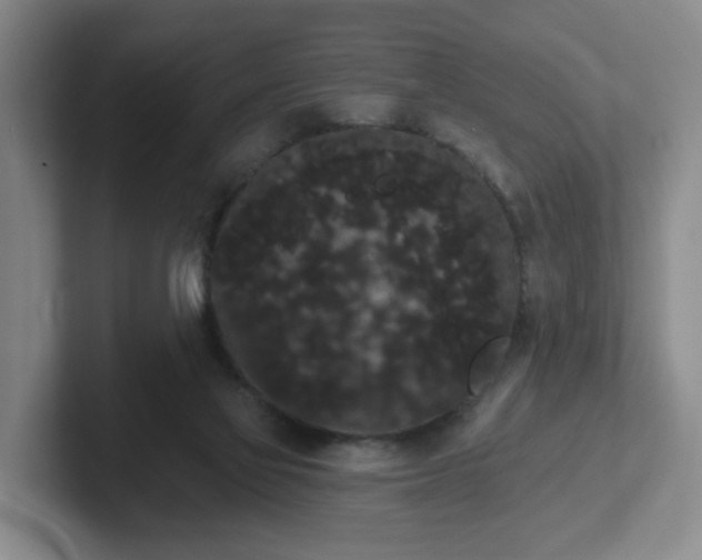 X0000102530069200808151605