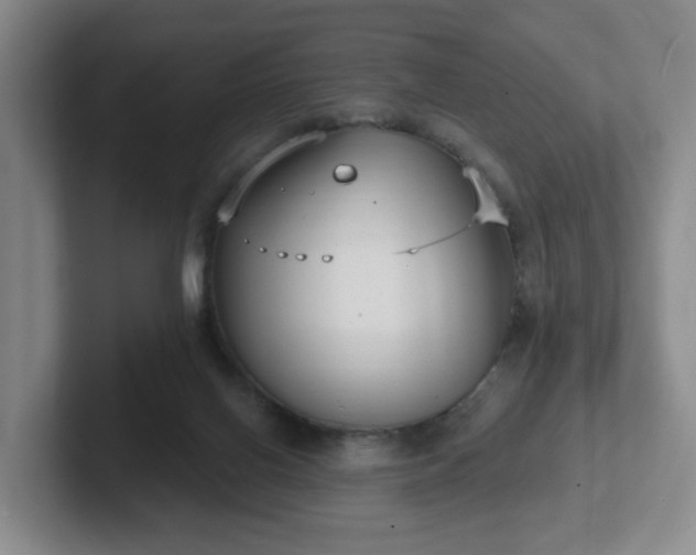 X0000102530070200808151605