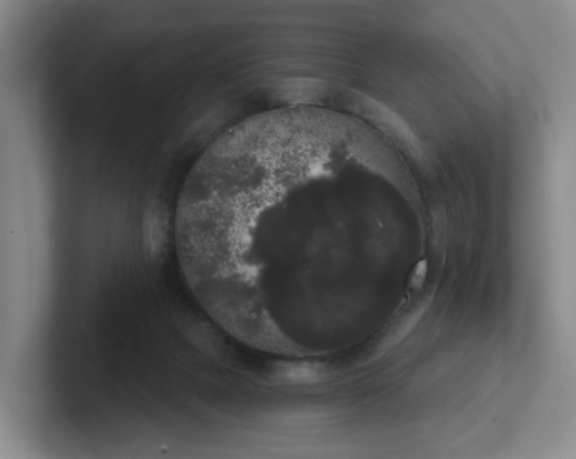 X0000102530073200808151605