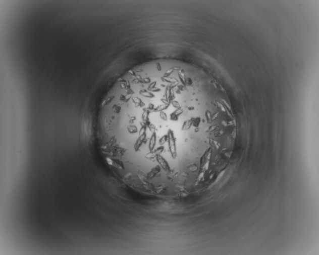 X0000102530074200808151605