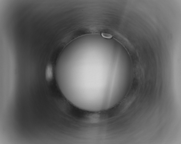 X0000102530075200808151605