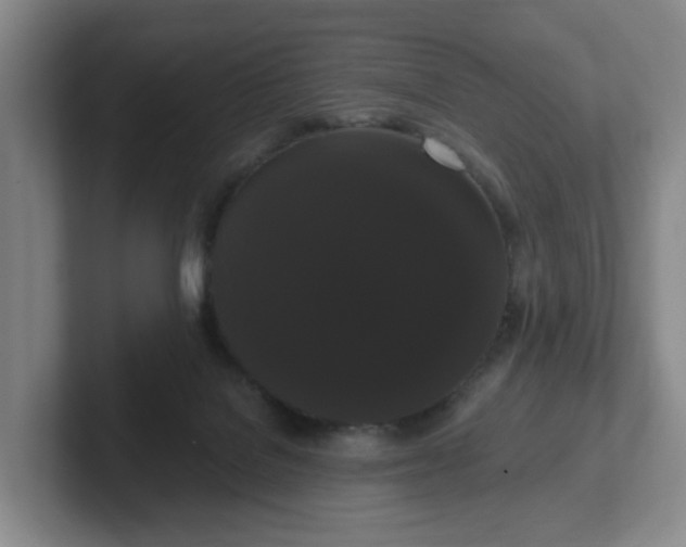 X0000102530076200808151605