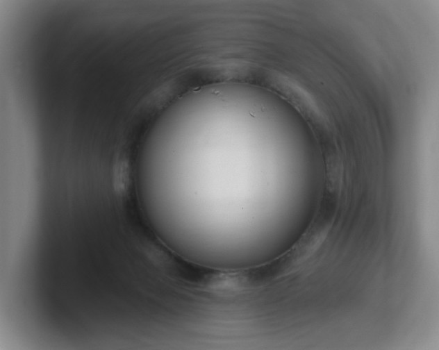 X0000102530077200808151605