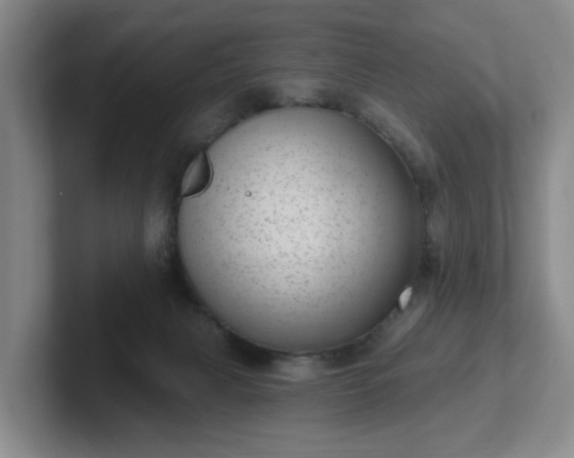 X0000102530079200808151605