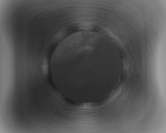 X0000102530080200808151605