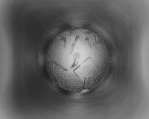 X0000102530081200808151605