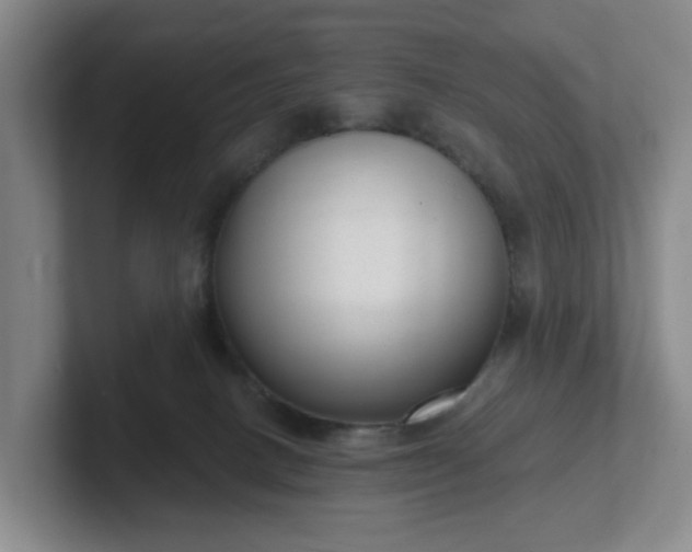 X0000102530082200808151605