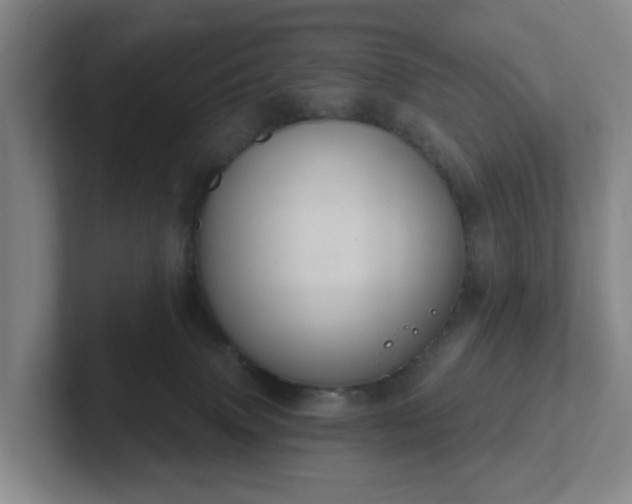 X0000102530083200808151605