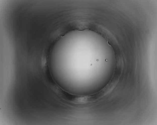 X0000102530084200808151605