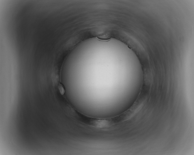 X0000102530085200808151605