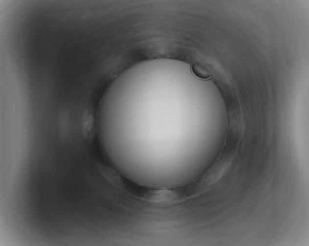 X0000102530087200808151605