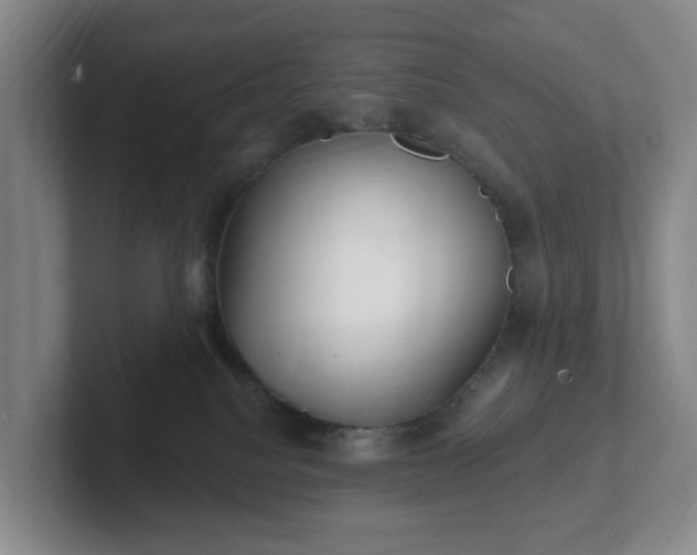 X0000102530088200808151605